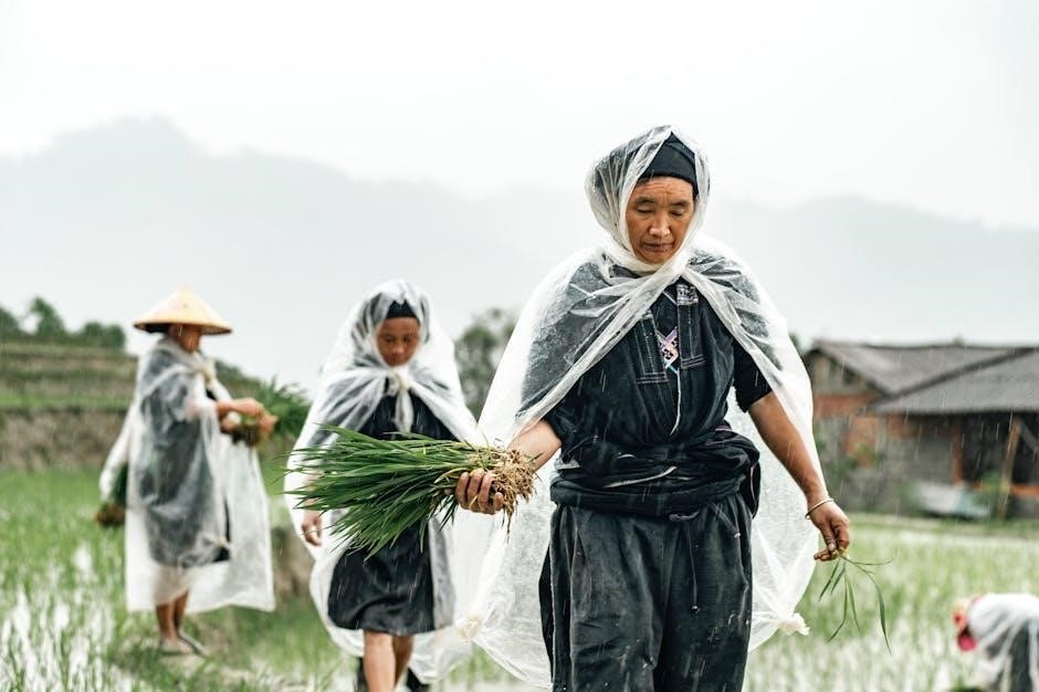 cuestiones que siempre has querido saber sobre la aeronáutica pdf